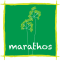 Marathos Marathos