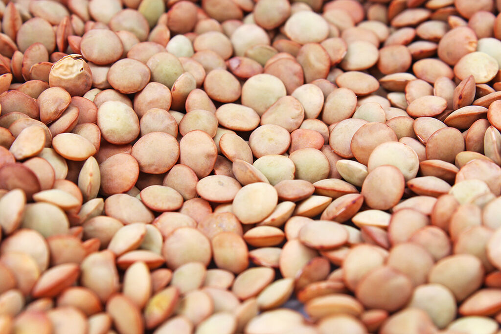 Kastoria lentils 1kg