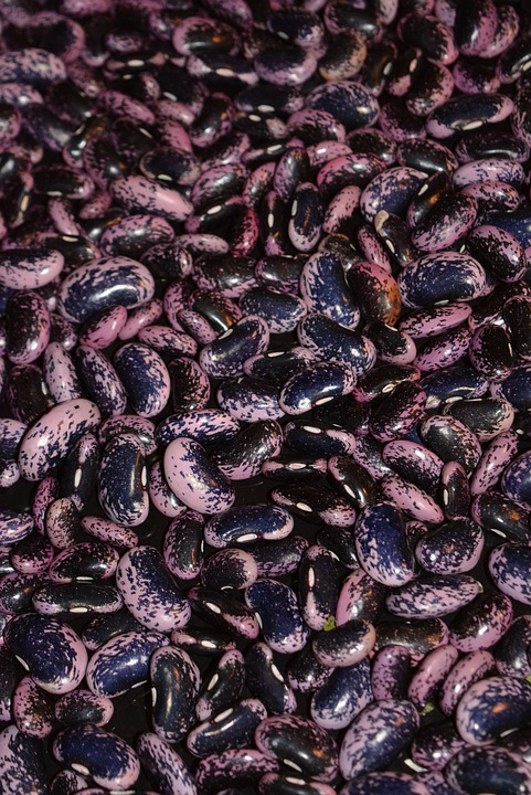 Kastoria Black Giants 1kg