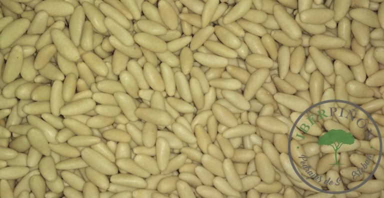 Pine nuts kernels Pinus pinea Origin: Spain. 25 Kg bag