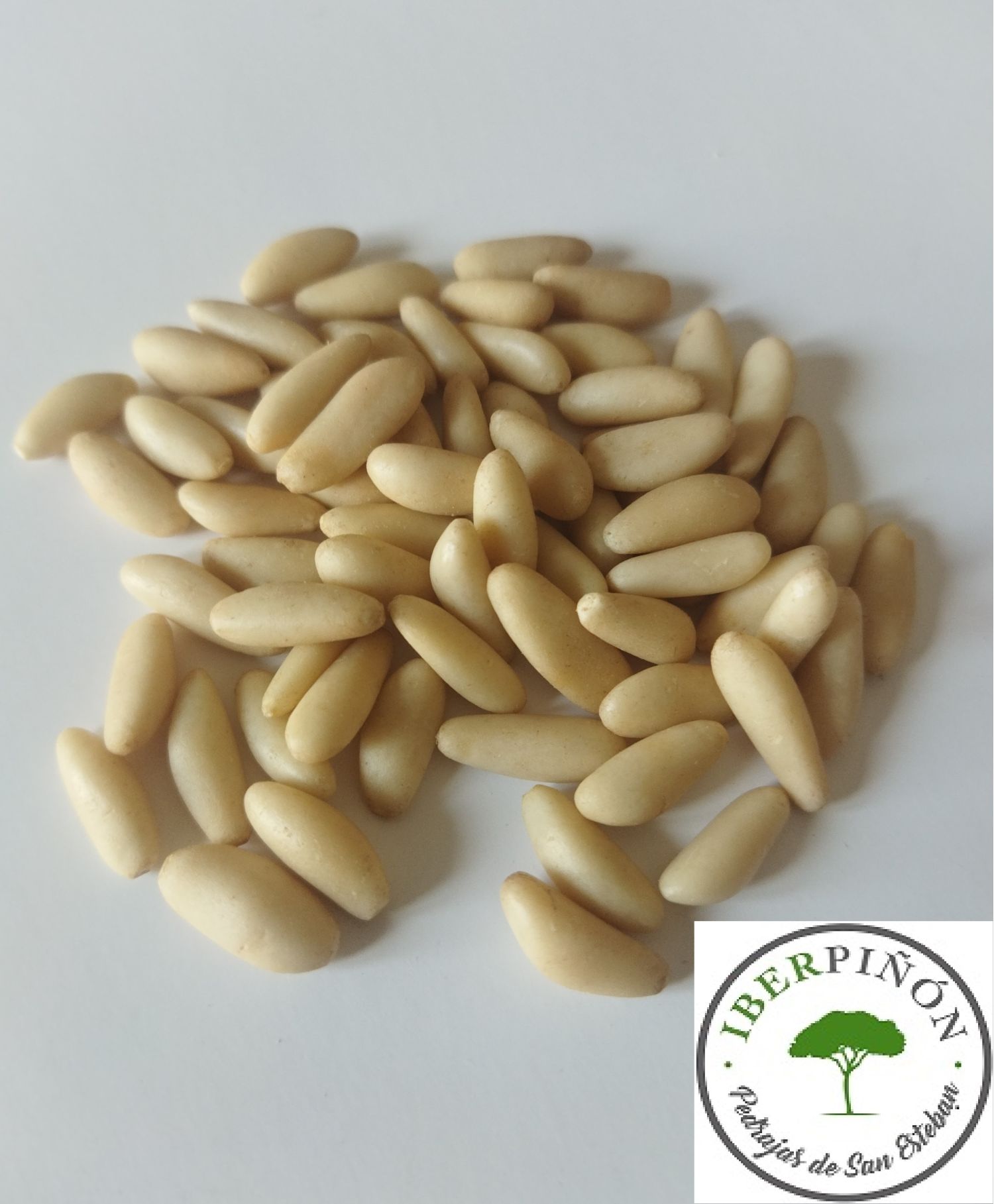 Pine nuts kernels Pinus pinea Origin: Spain. 25 Kg bag
