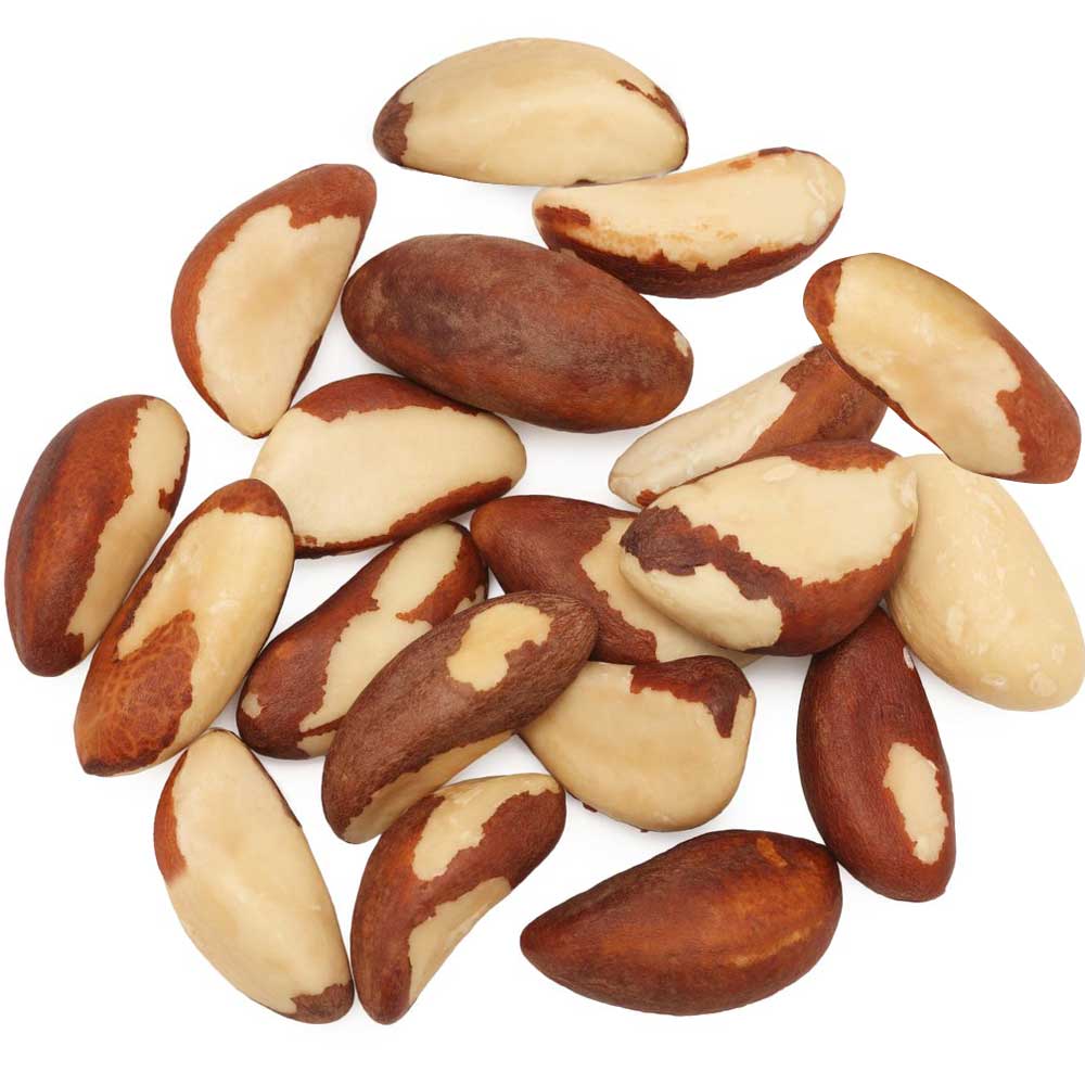 Brasil Nuts MEDIUM vacuum bag in carton 20 kg
