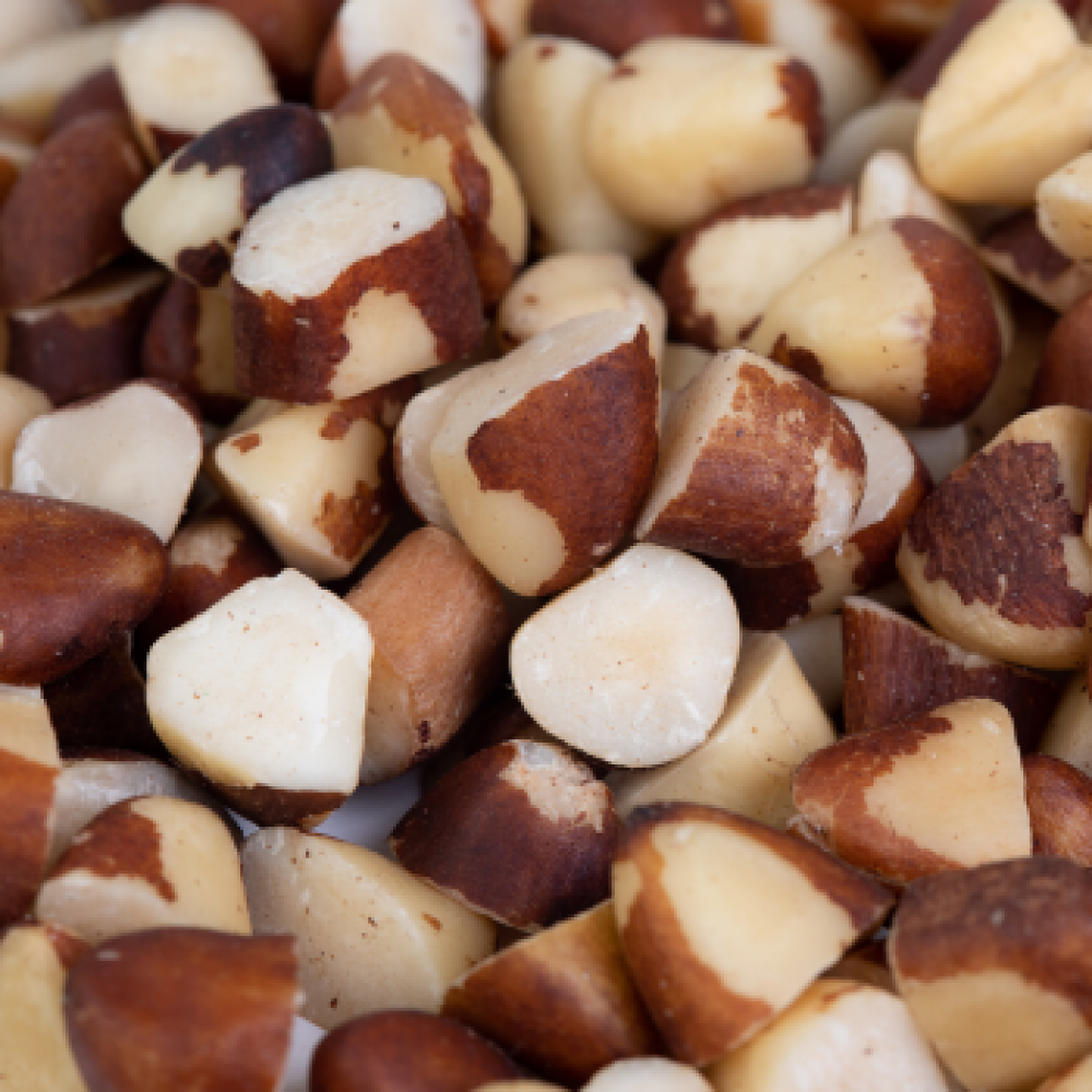 Brasil Nuts BROKEN 5 vacuum bag in carton 20 kg