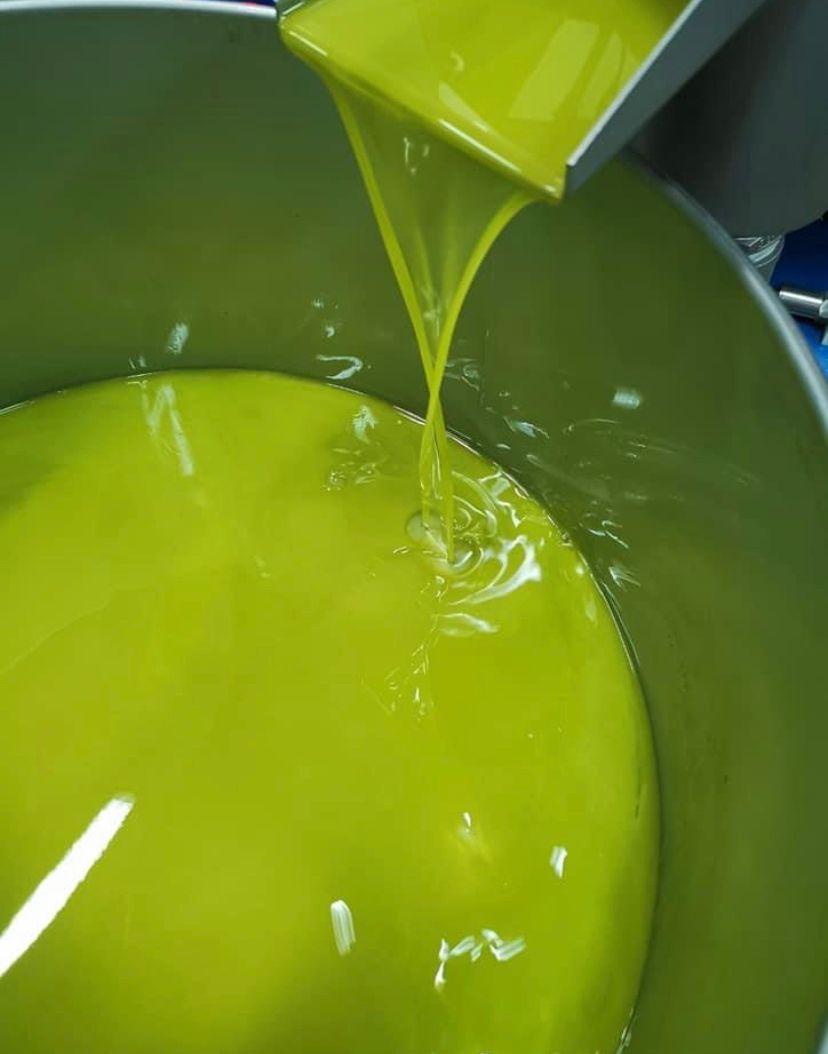 100% Organic Calabrian Extra Virgin Olive Oil 5L