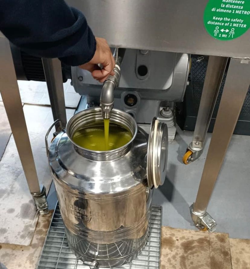 100% Organic Calabrian Extra Virgin Olive Oil 5L