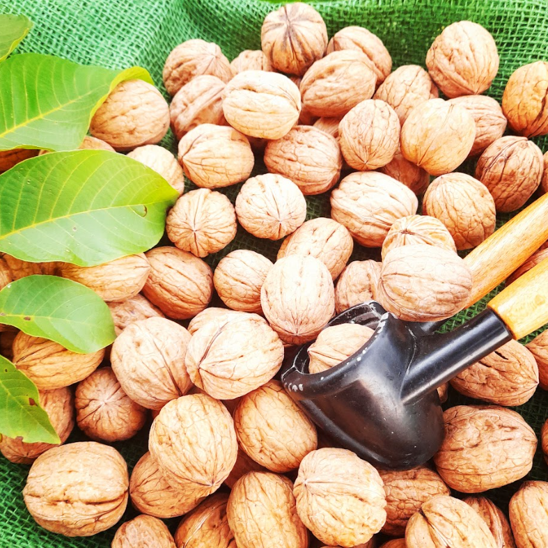 Chandler walnuts kernels - half - 1kg