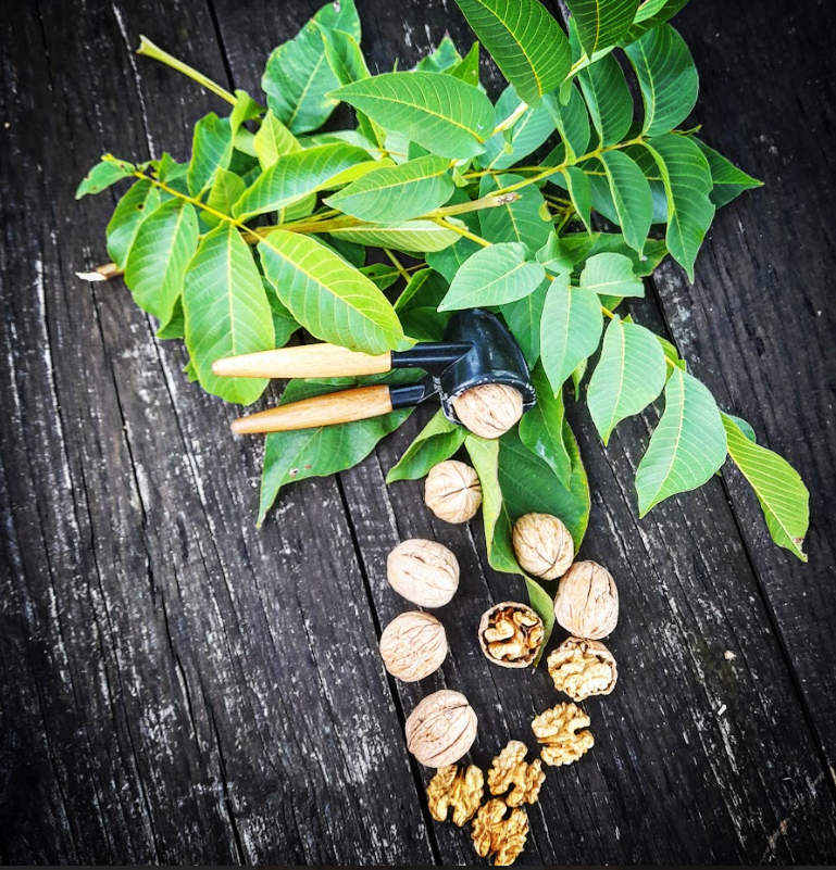 Walnuts in shell 1kg