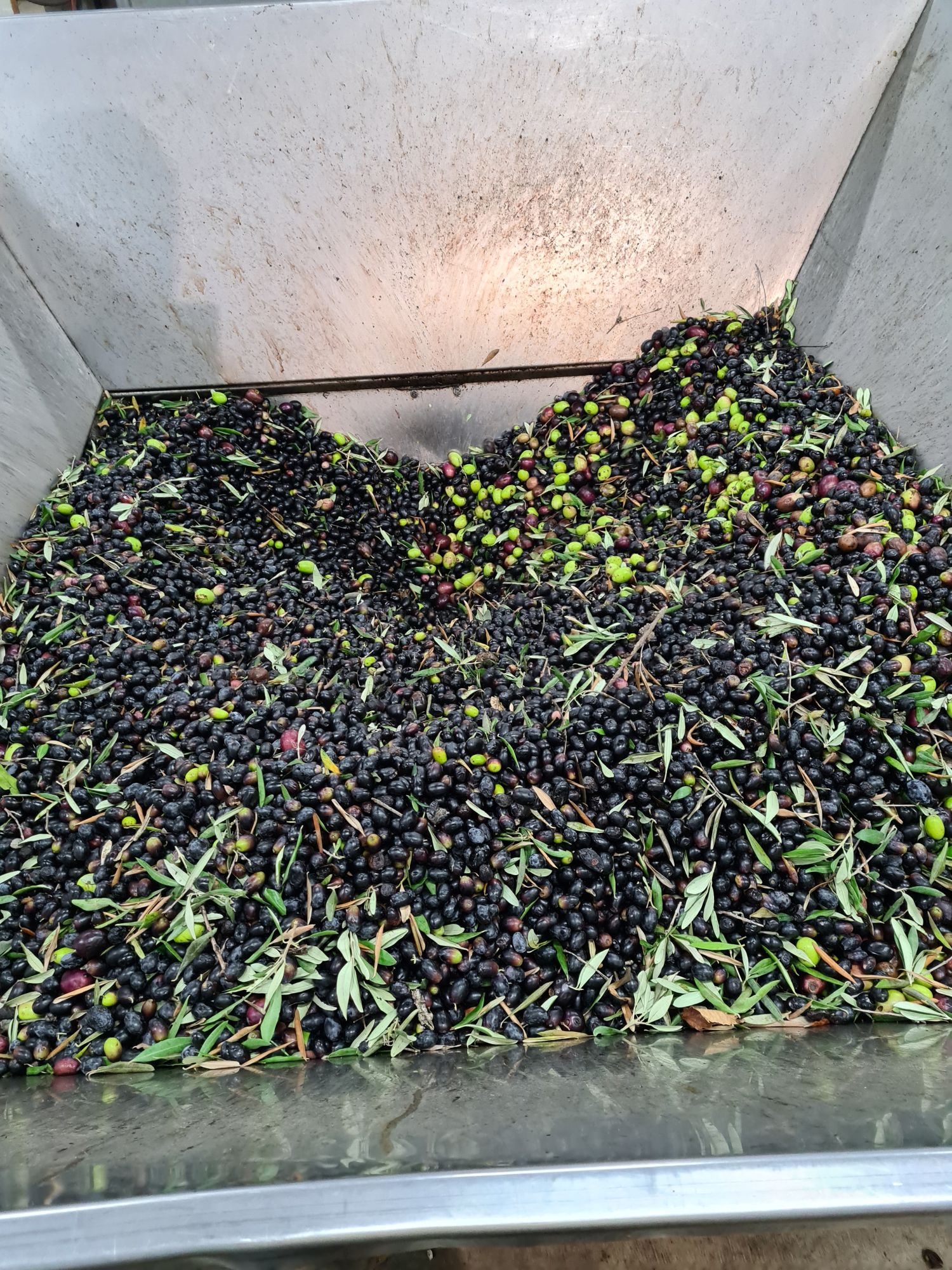 Extra virgin Olive oil 1L