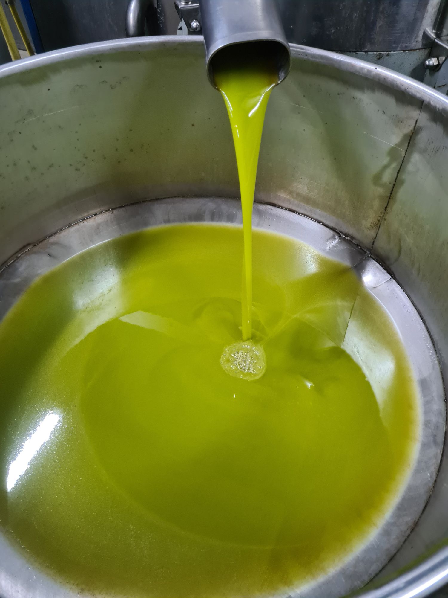 Extra virgin Olive oil 1L