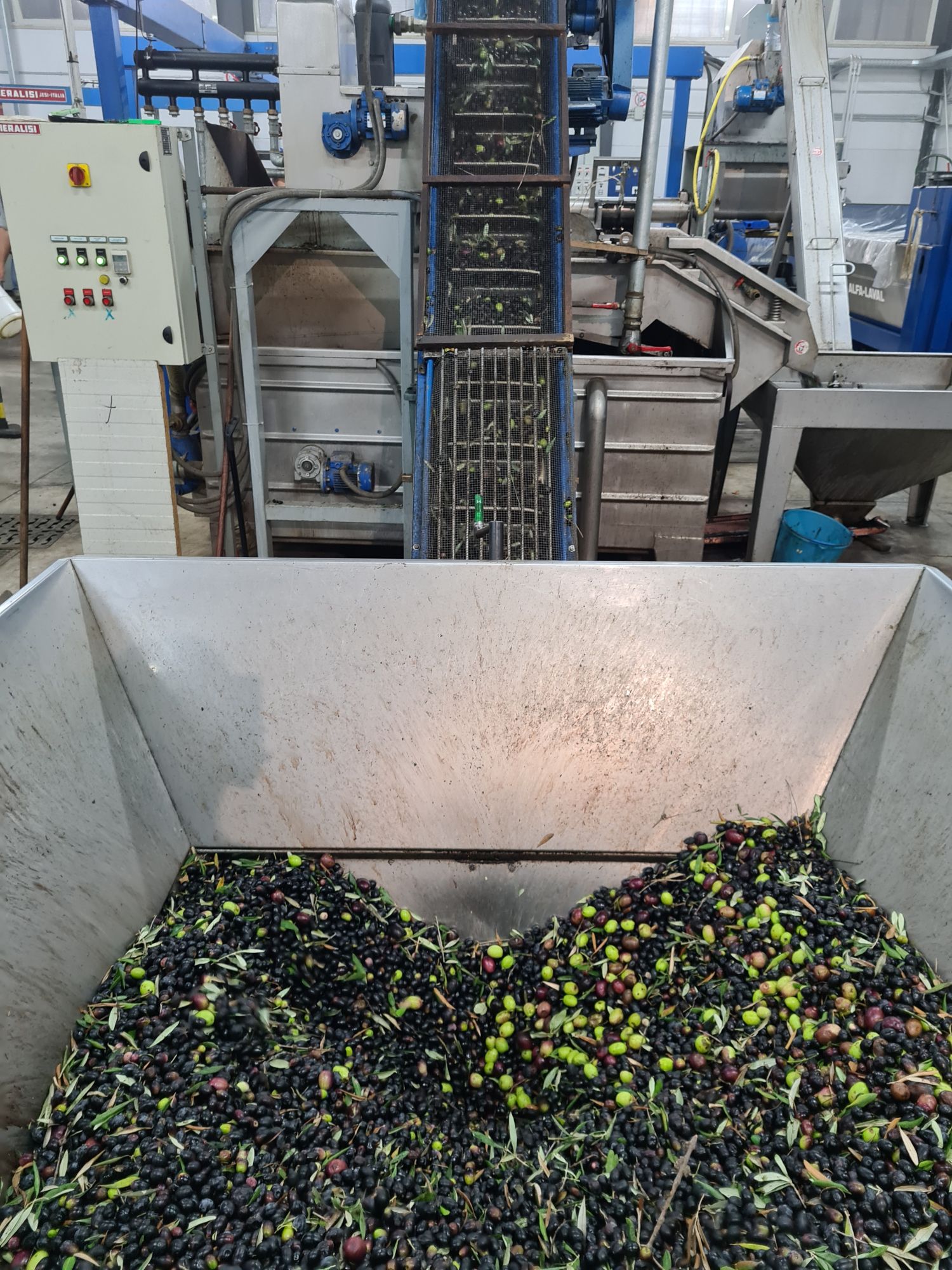 Extra virgin Olive oil 1L