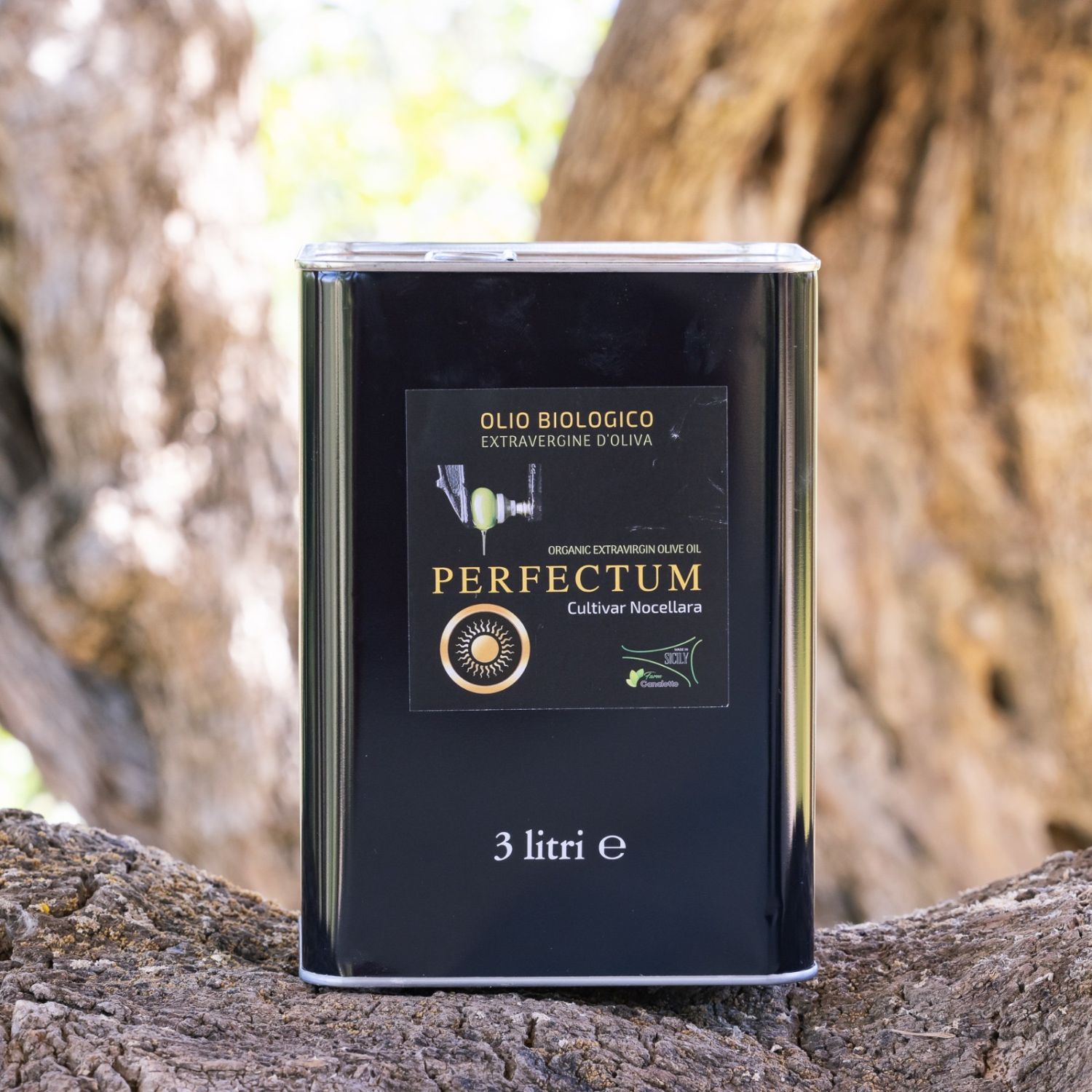 3L Organic Extra Virgin Olive Oil from Nocellara