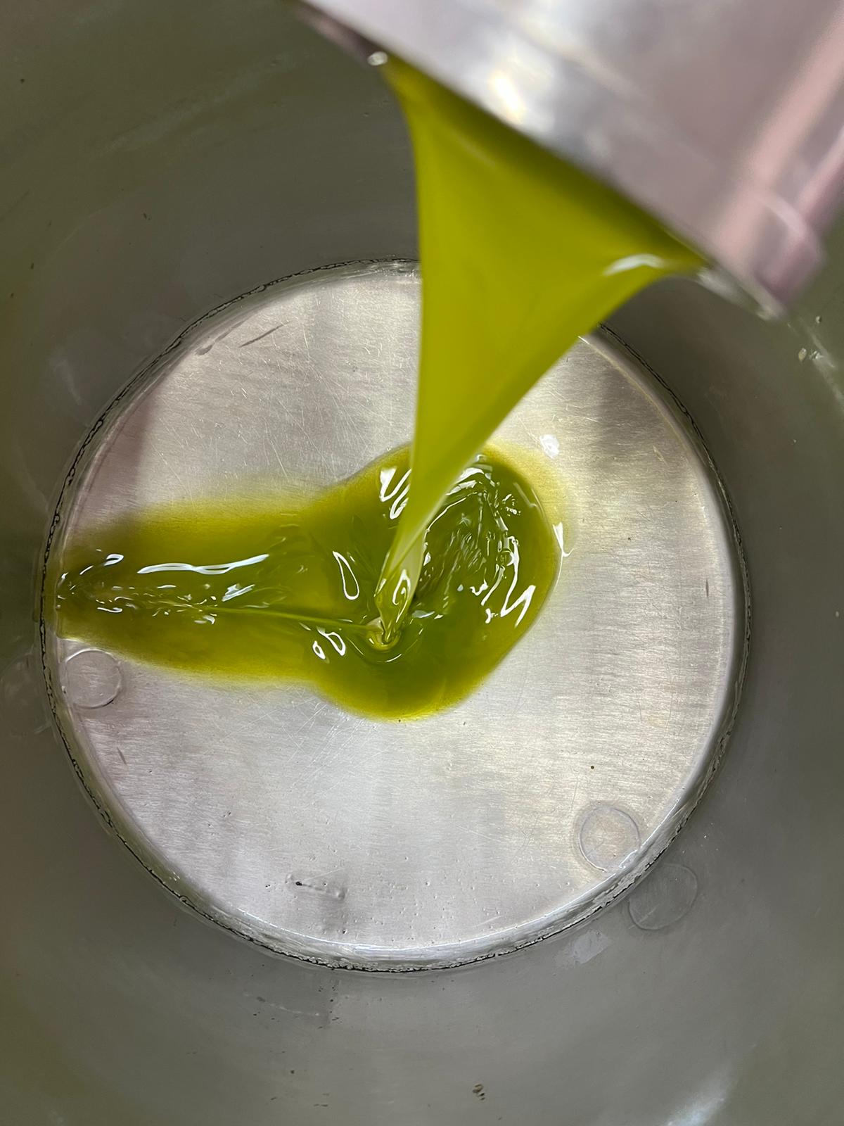 EVOO - Bottle 500 mL - IGP SICILIA