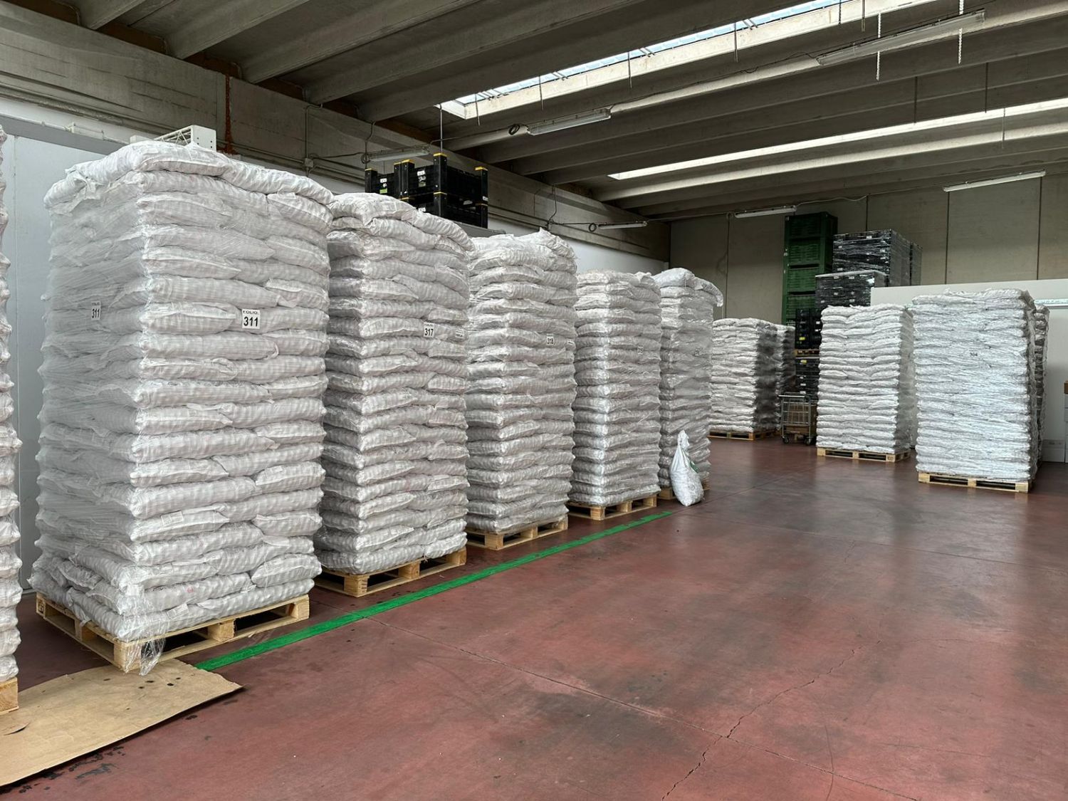 Walnuts Chandler 10 Kg