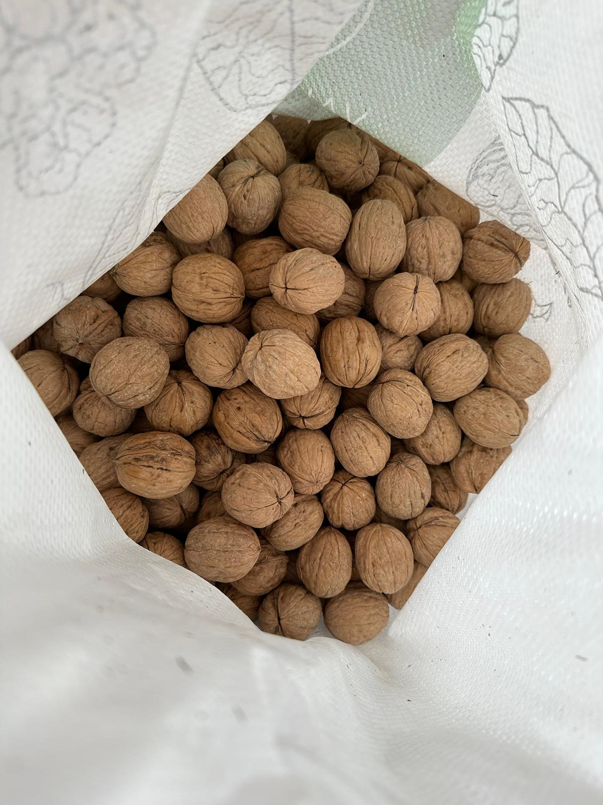 Walnuts Chandler 10 Kg