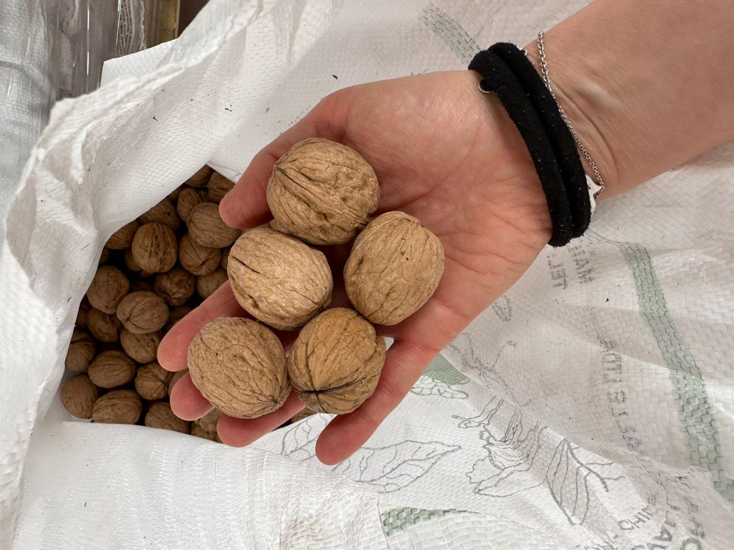Walnuts Chandler 10 Kg