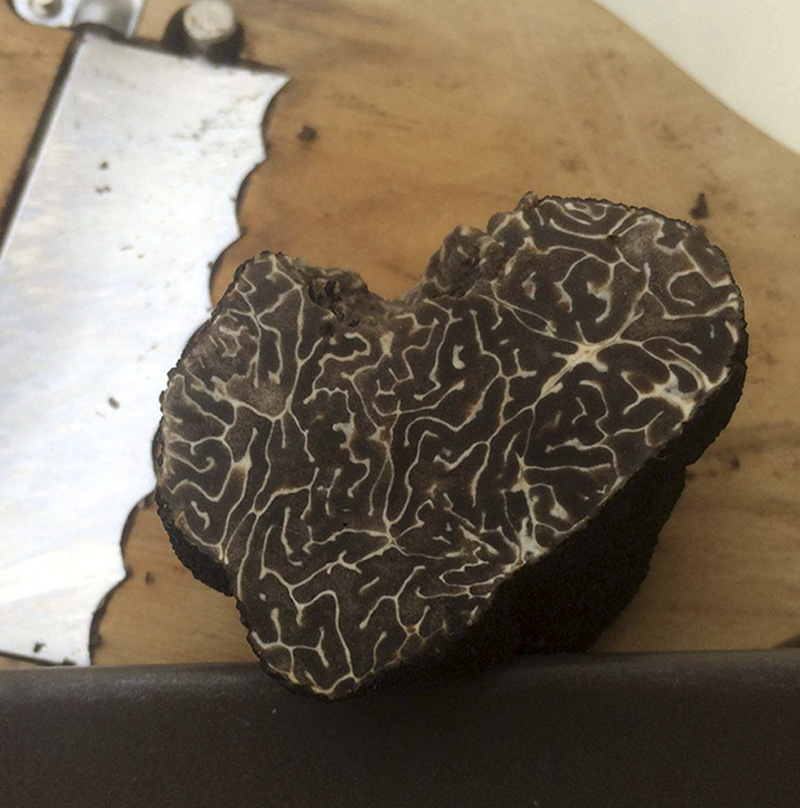 Black Truffle Tuber Brummale 50gr