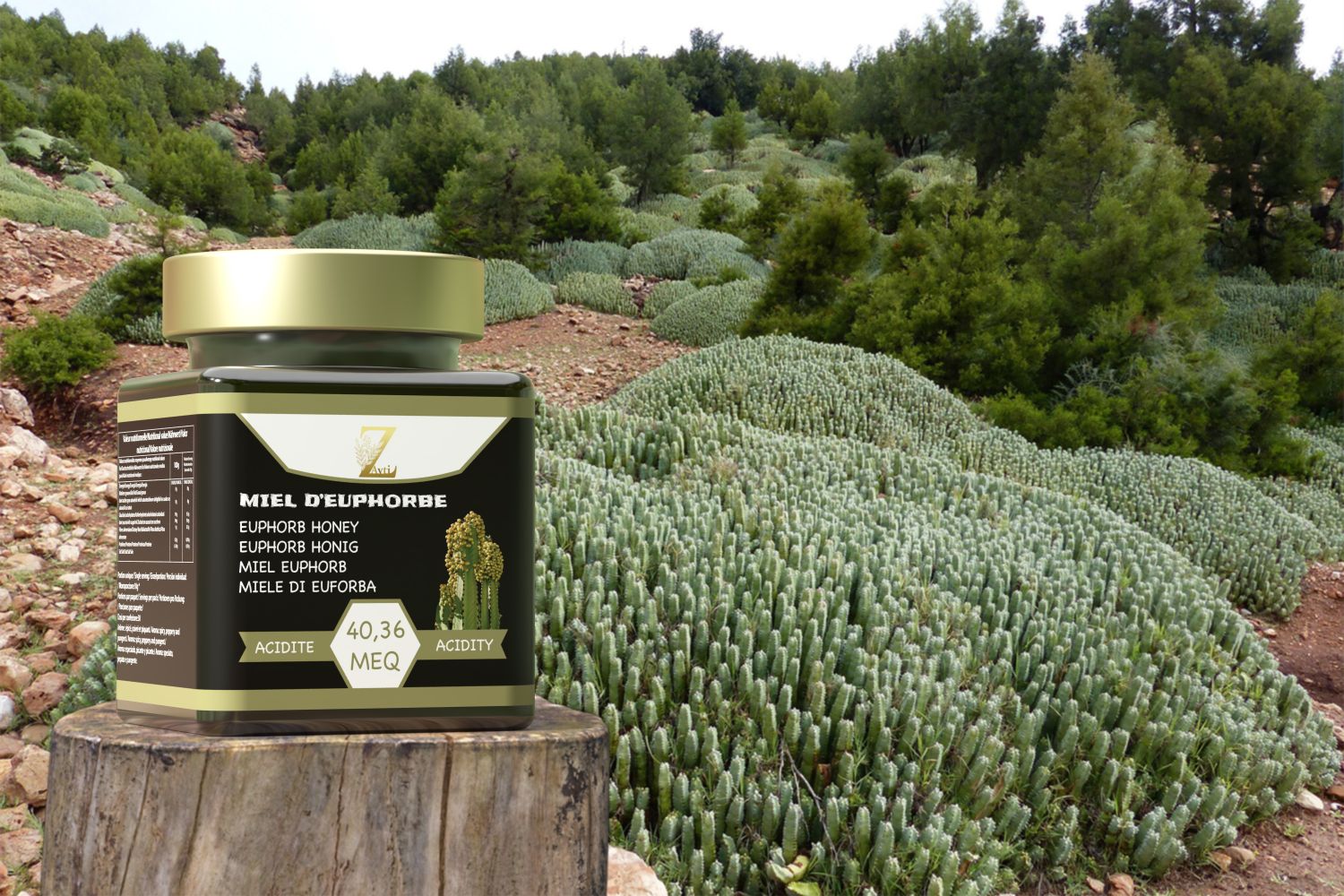 100% pure & Natural Euphorbia Honey . Real Premium Raw Honey (Daghmous) - 300g