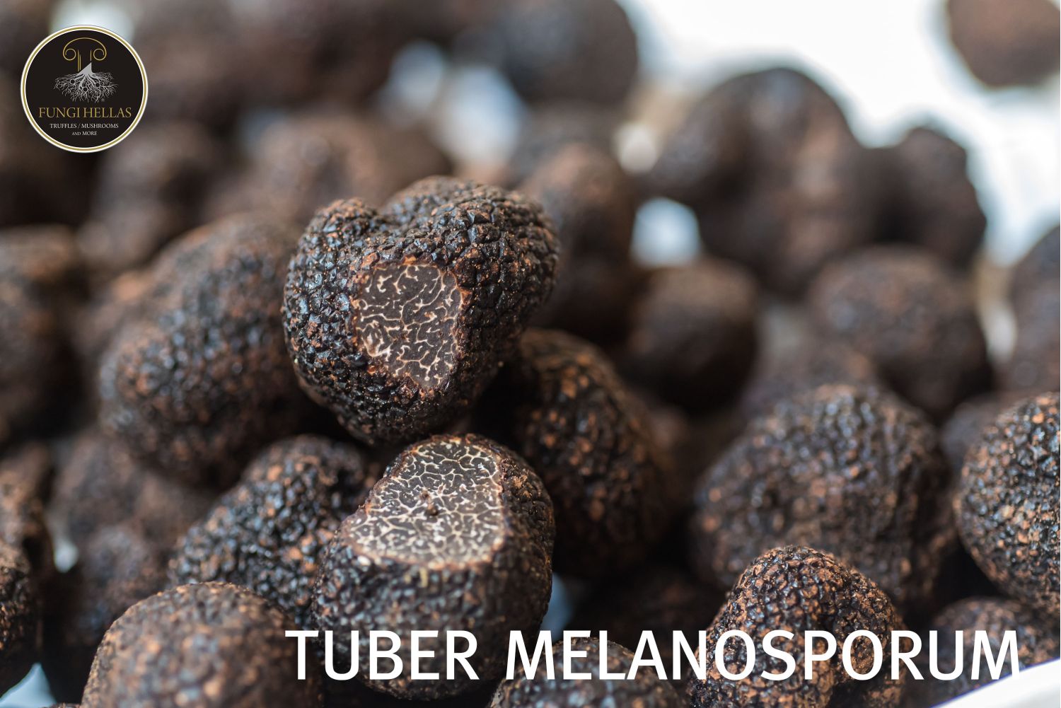 Black truffle Tuber Melanosporum 50gr