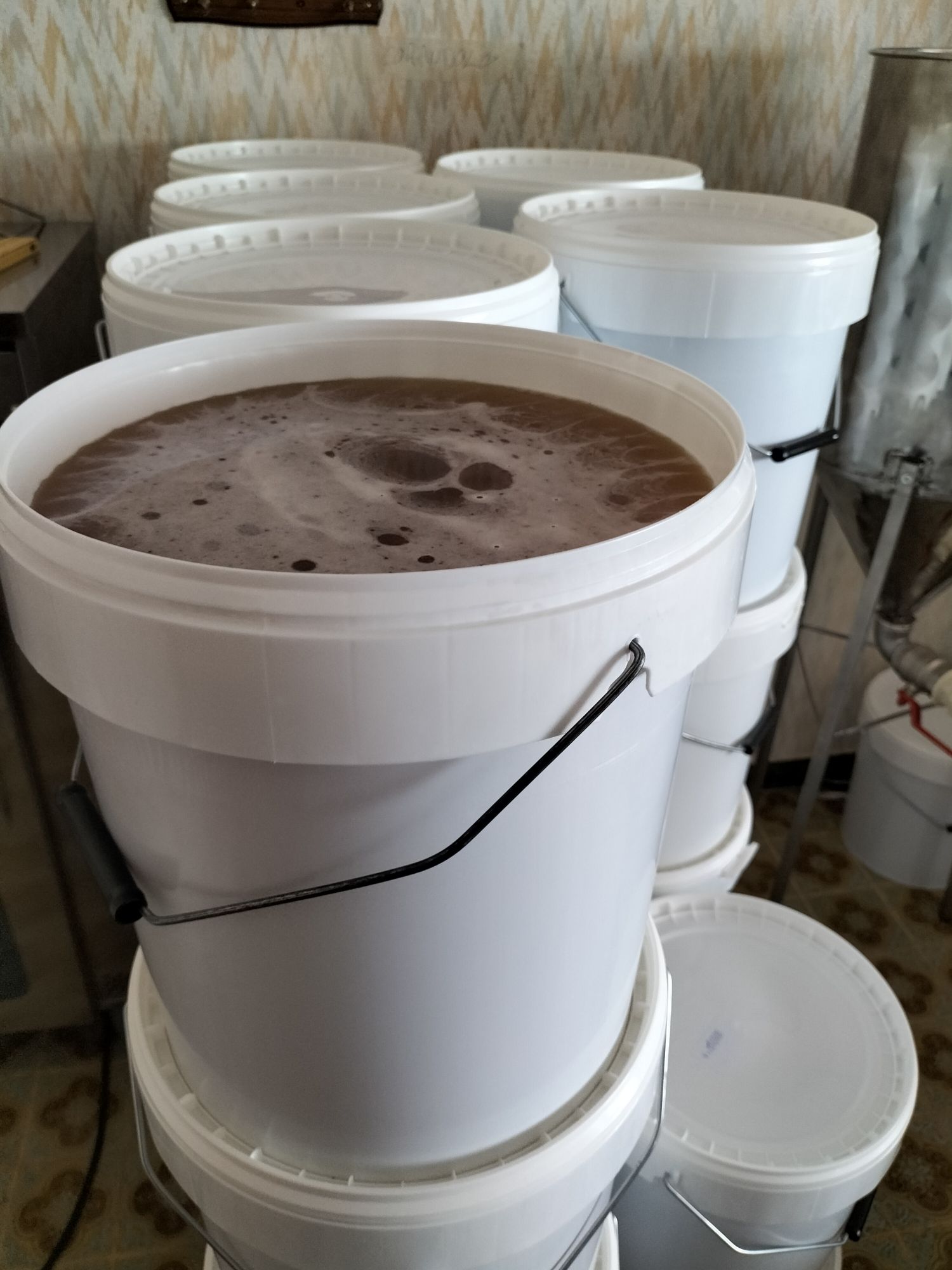Coriander Honey of 25 kg