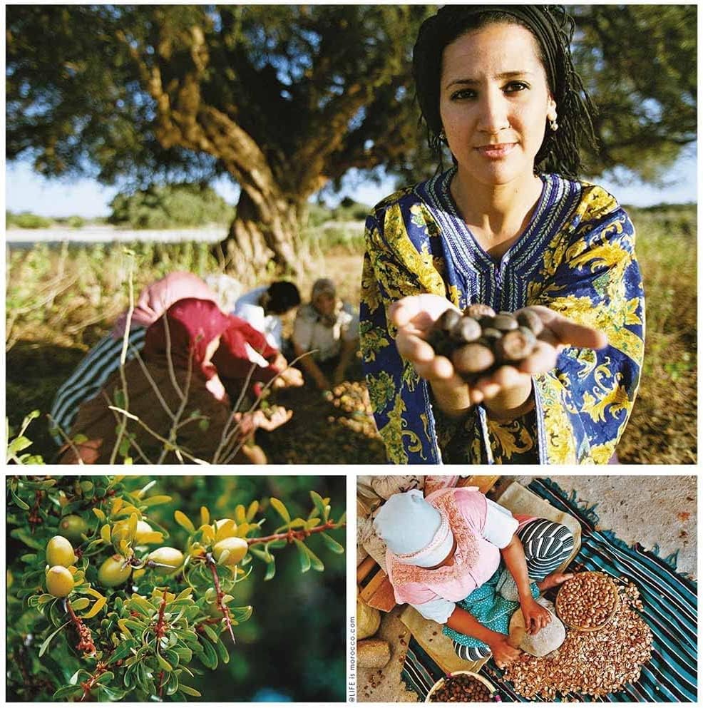 Moroccan Culinary (Food) Argan Oil - Cold Pressed - 200ml