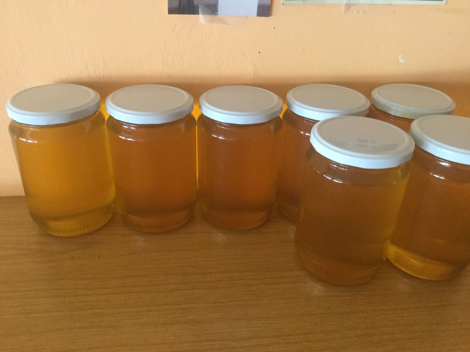 Macedonian Honey and pine honey in jars with your own label