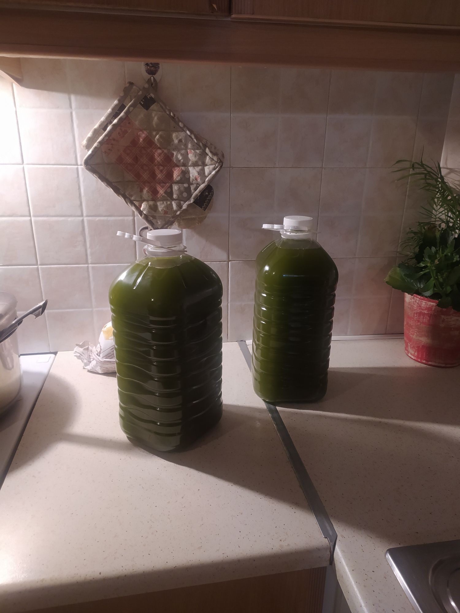 Extra Virgin Οlive Οil 5 liters
