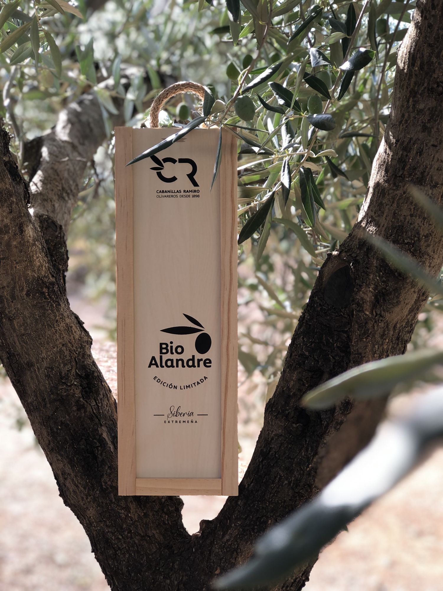 Limited Edition Bio Alandre Wooden case 500 ml Verdial de Badajoz