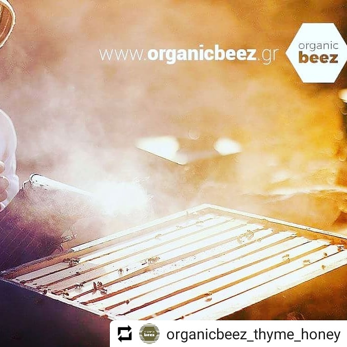 Organic Thyme Honey of Syros 270g