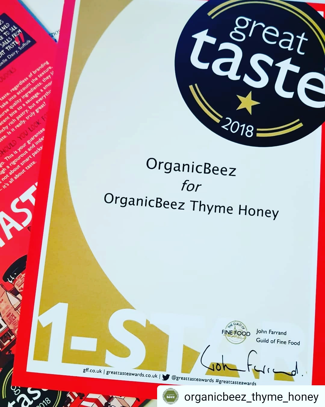 Organic Thyme Honey of Syros 270g