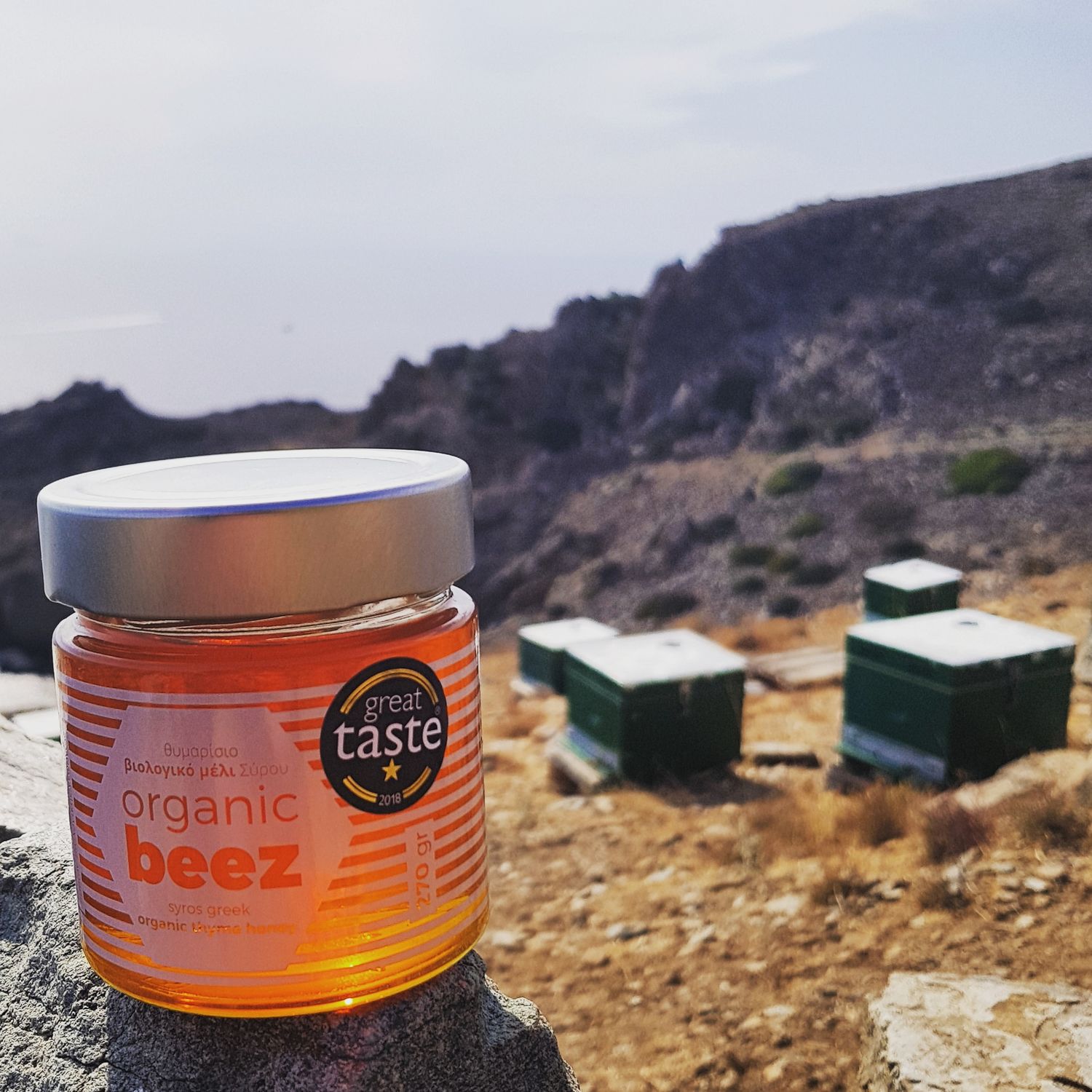 Organic Thyme Honey of Syros 270g
