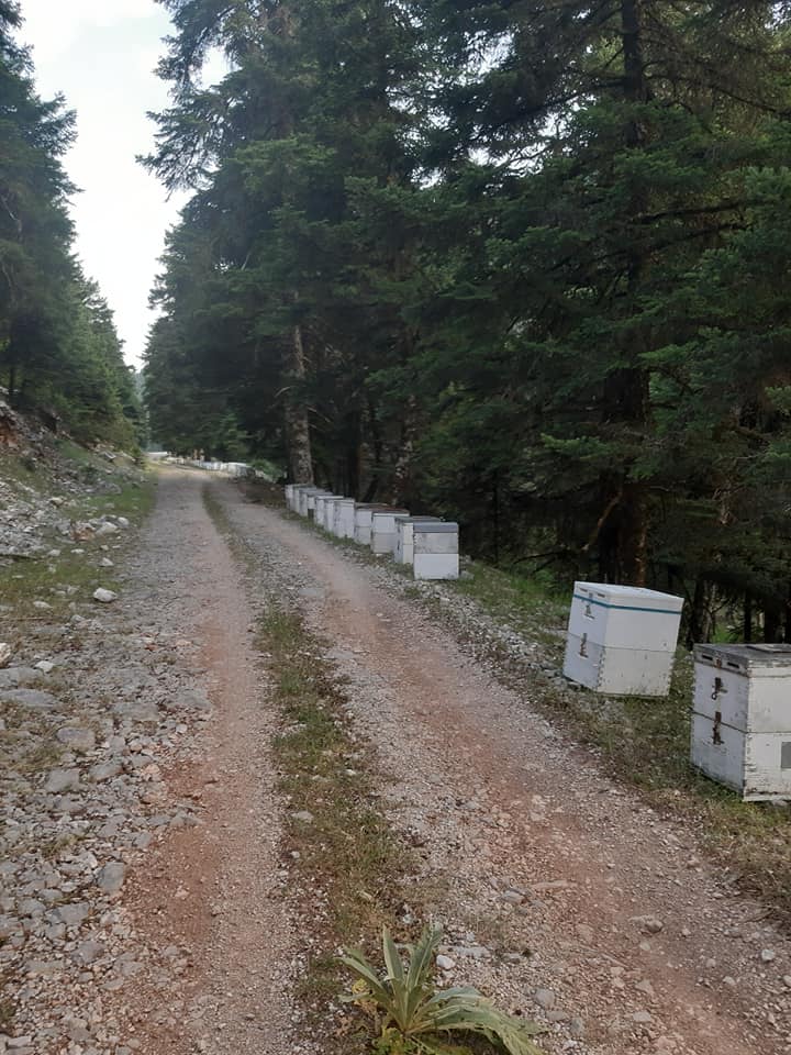 Fri Honey 1kg