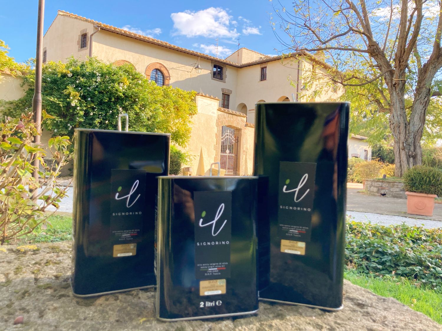 Extra Virgin Olive Oil Il Signorino Bio DOP Tuscia - 5 litres