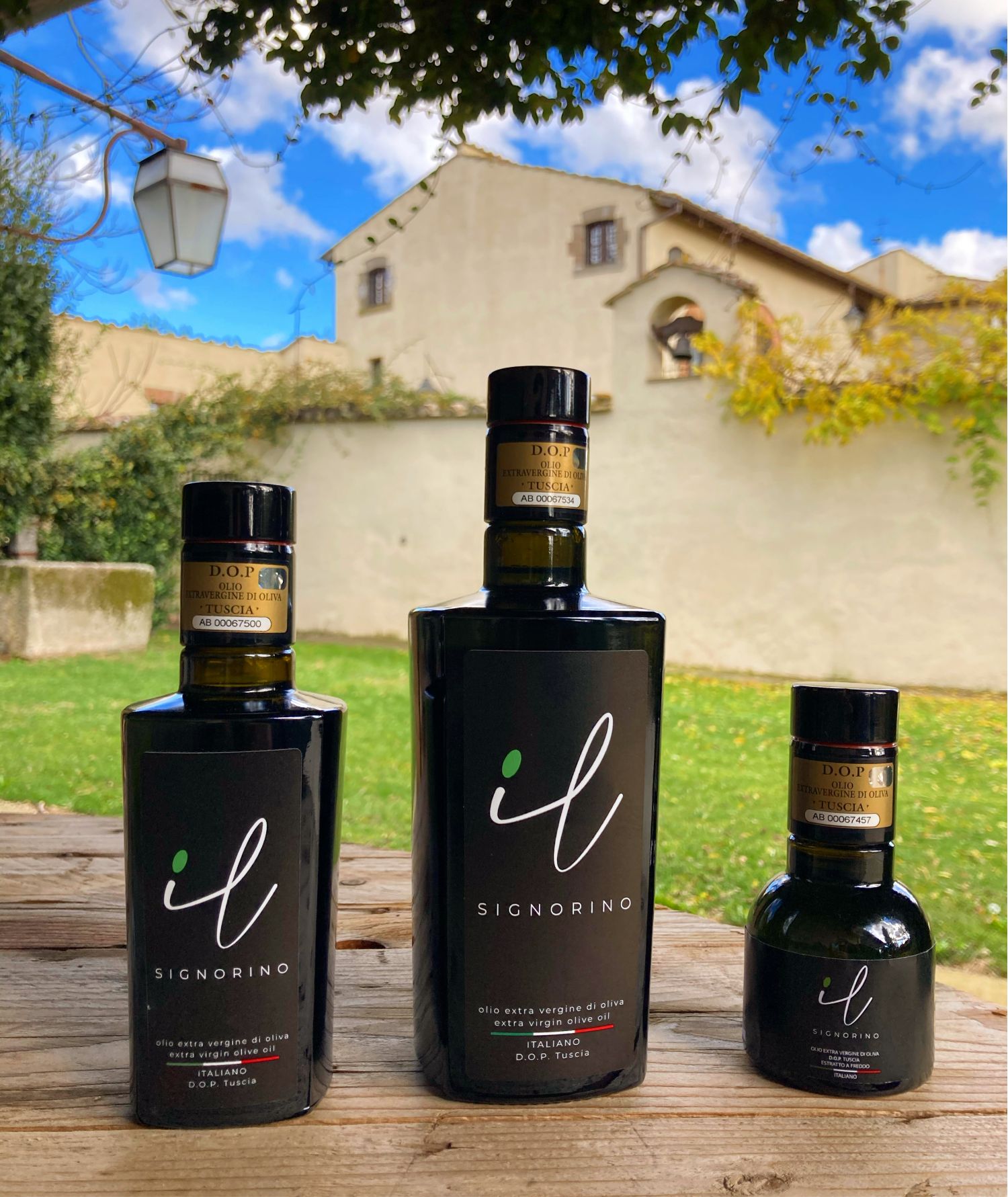 Extra Virgin Olive Oil Il Signorino Bio DOP Tuscia - 5 litres