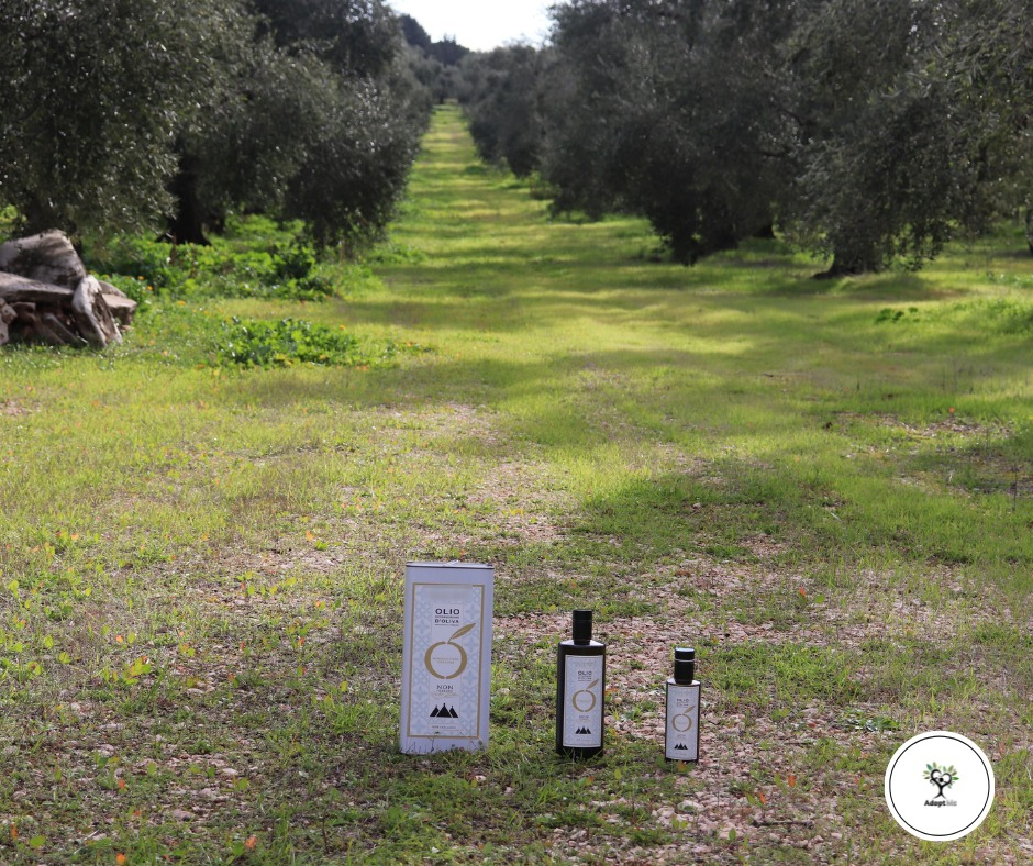 EXTRA VIRGIN OLIVE OIL 100% MONOCUTIVAR CORATINA - 1 LITRE - GLASS PACKAGING