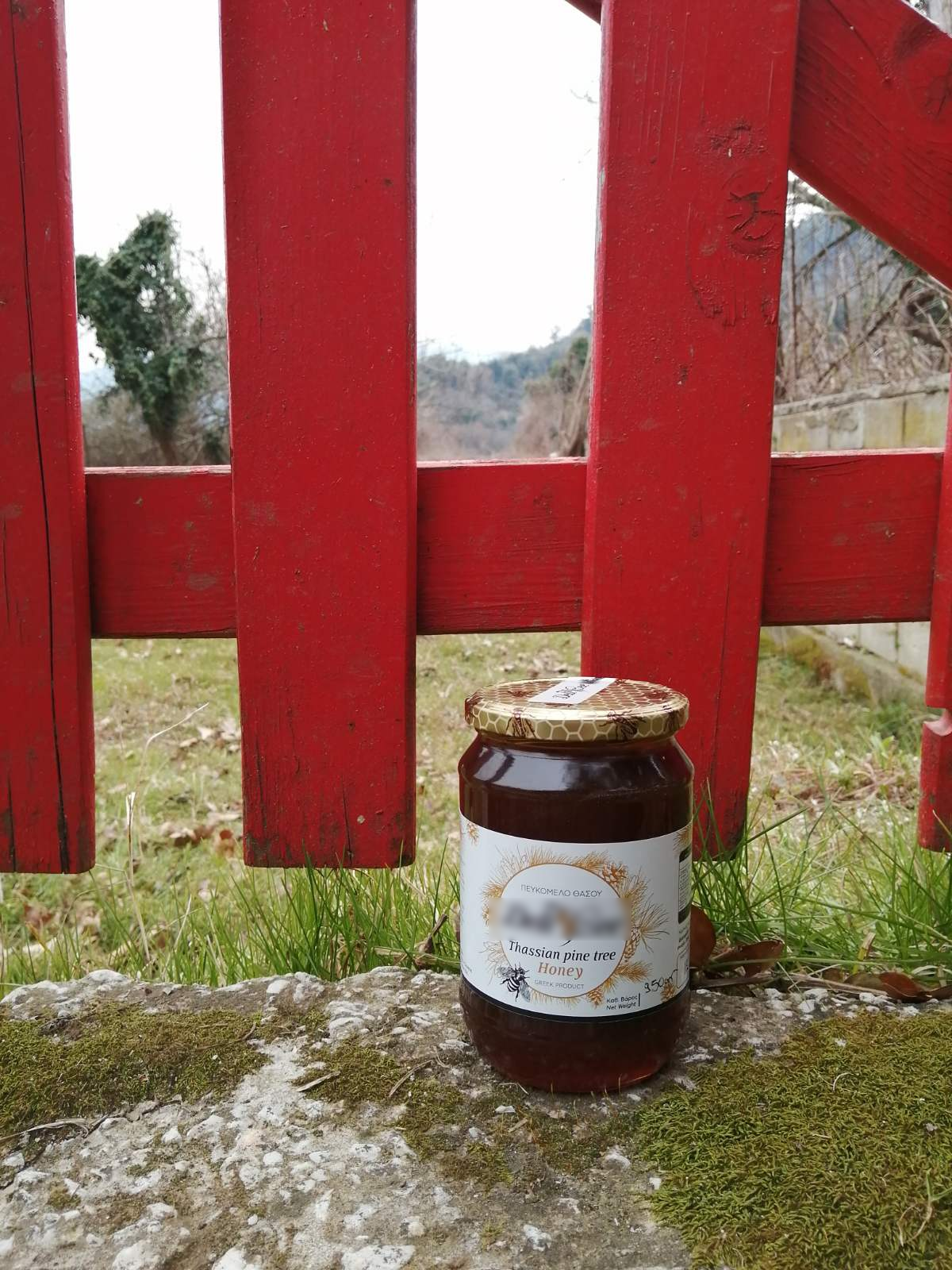 Pine Honey 950gr