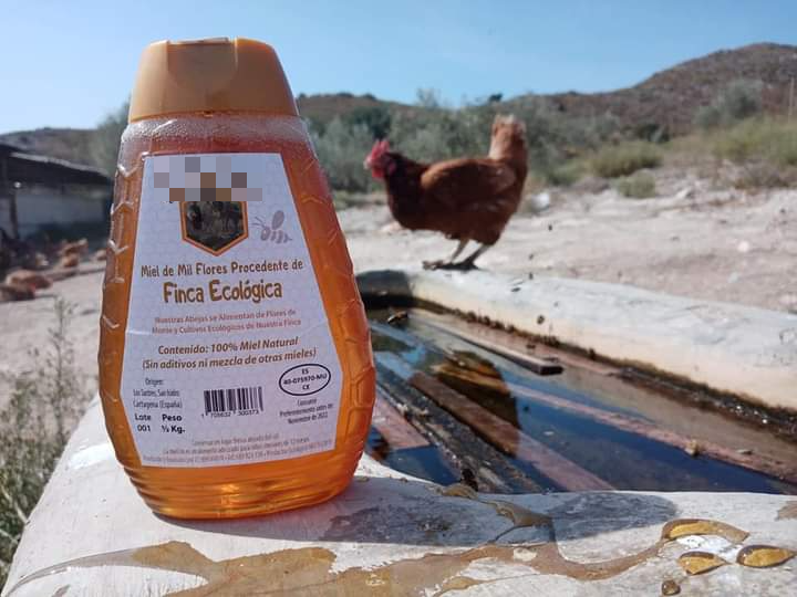 Raw Flower Honey, 1/2Kg plastic with dispenser or jar. From bees in an ecological certified farm.