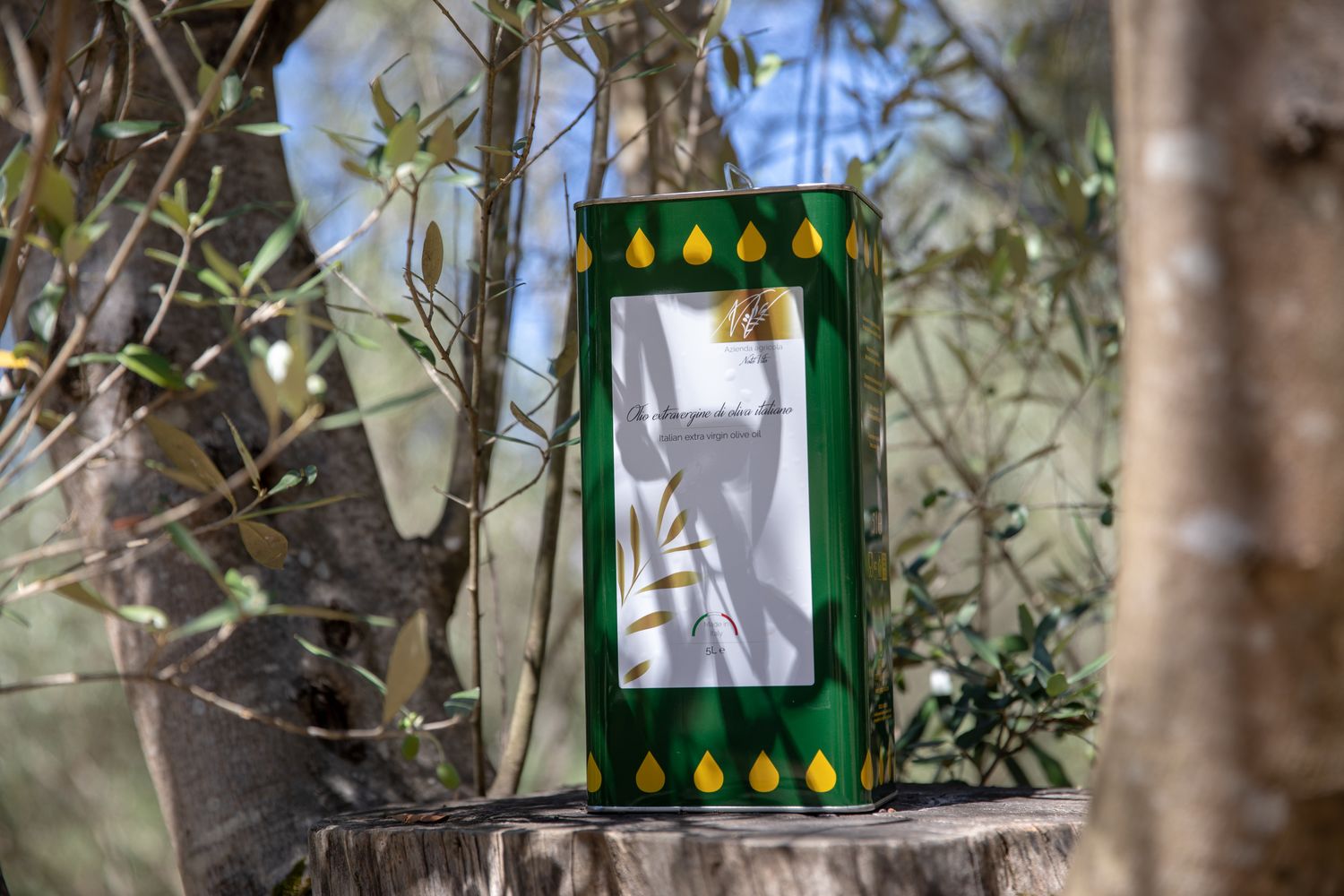 Extra Virgin Olive Oil in 5 litre tins