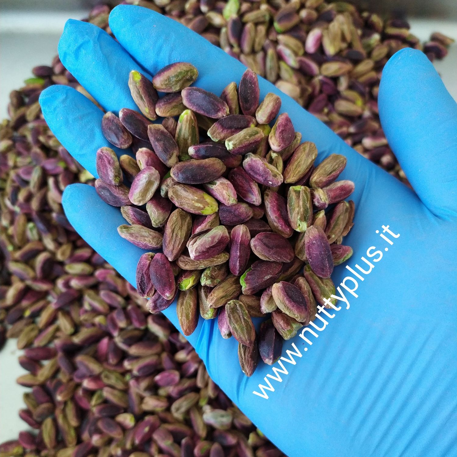 Sicilian Pistachio