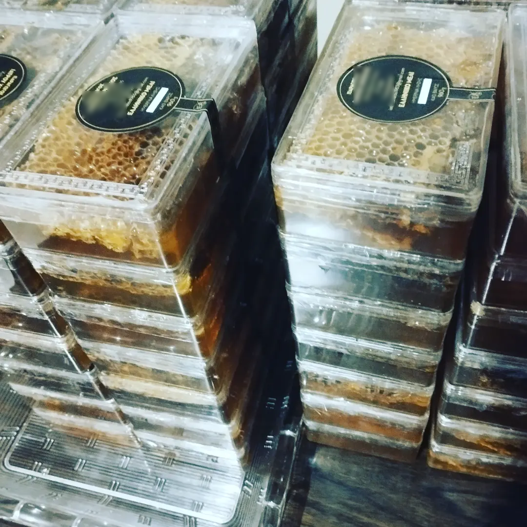 Honey with Honeycomb 600g