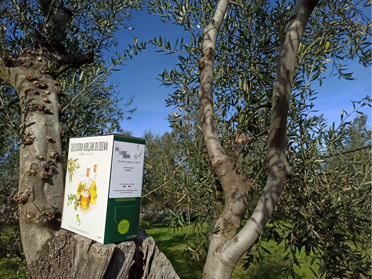 EVOO, (0.2 %), 5 litres Premium Monovarietal Coratina, cold pressed, intensely fruity