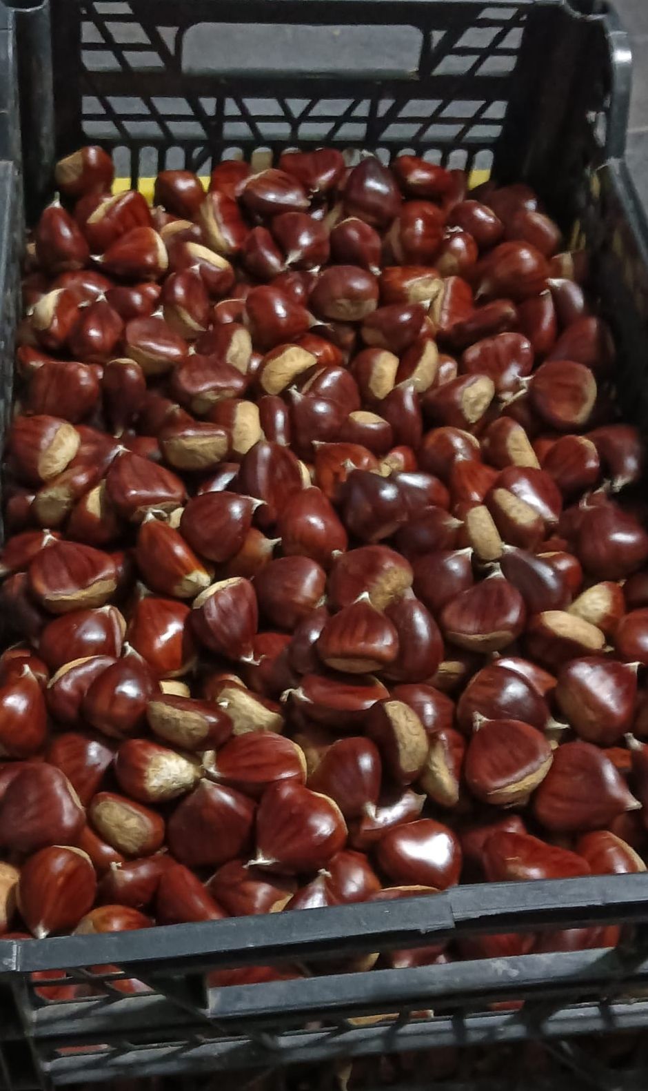Chestnuts