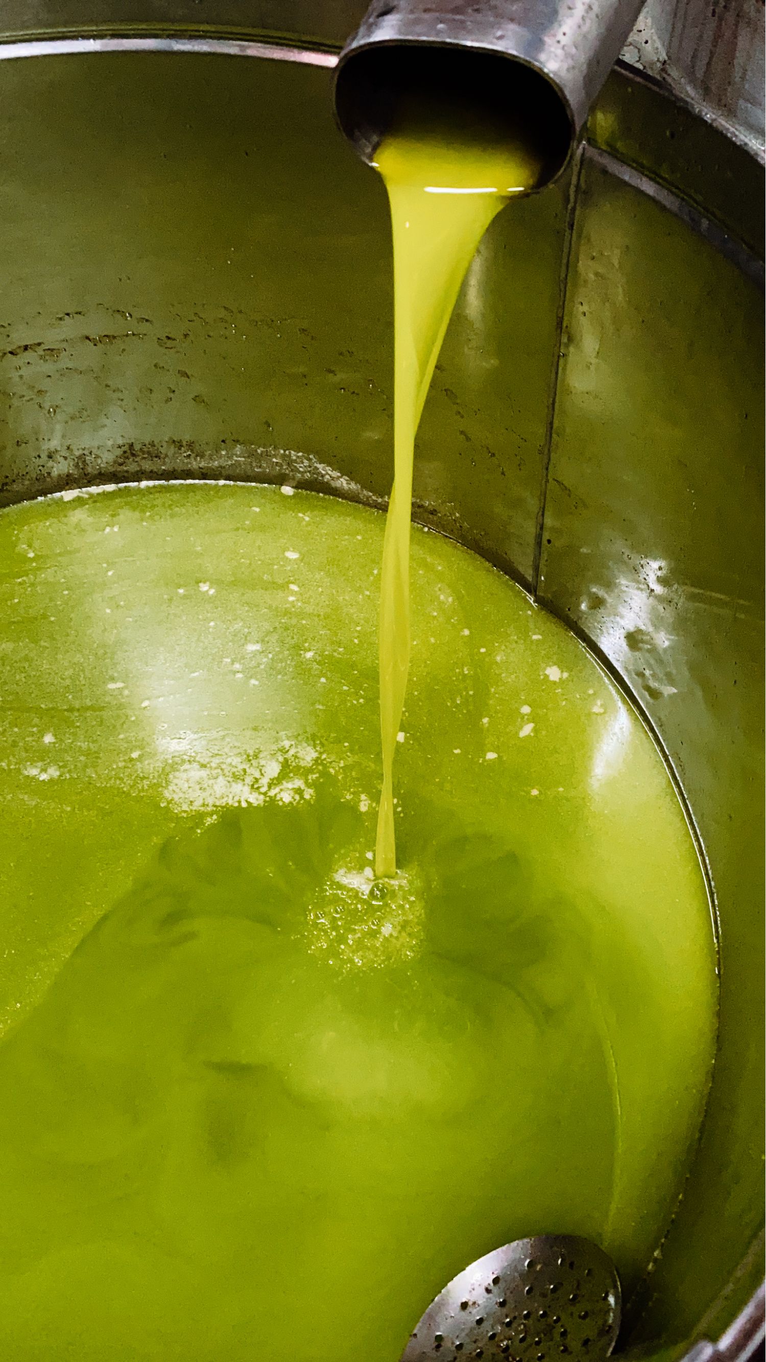 Extra virgin Olive oil 0.25l - obtained from Nocellara del Belice Olives