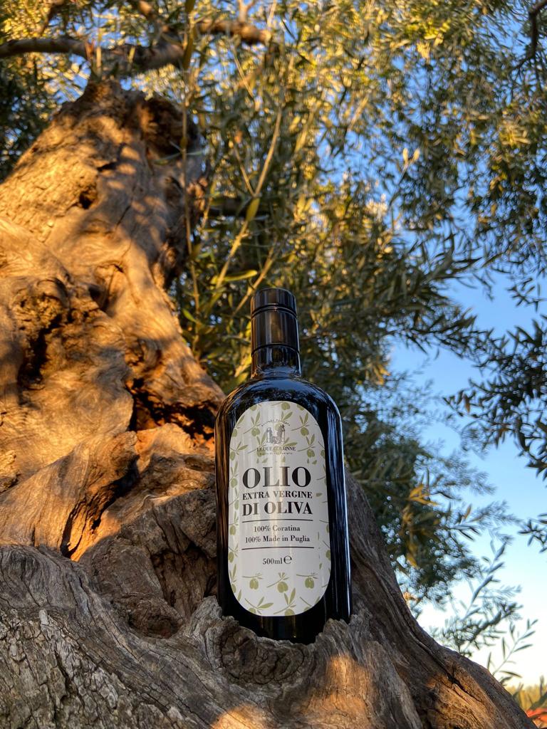 Extra Virgin Olive Oil Coratina