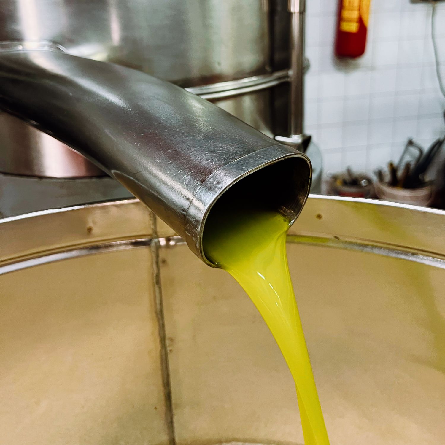 Extra virgin Olive oil 0.25l - obtained from Nocellara del Belice Olives