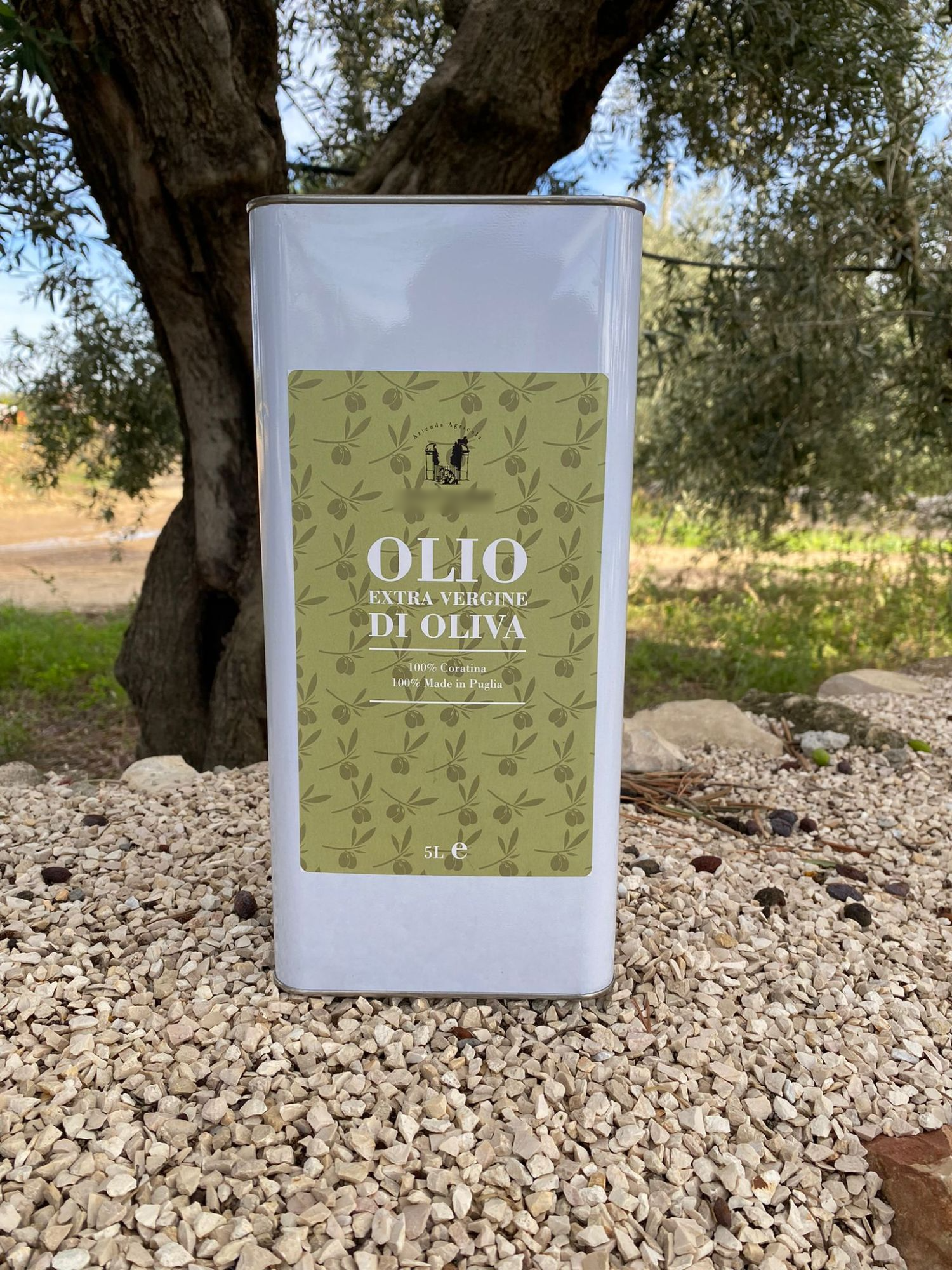 Extra Virgin Olive Oil Coratina cultivar