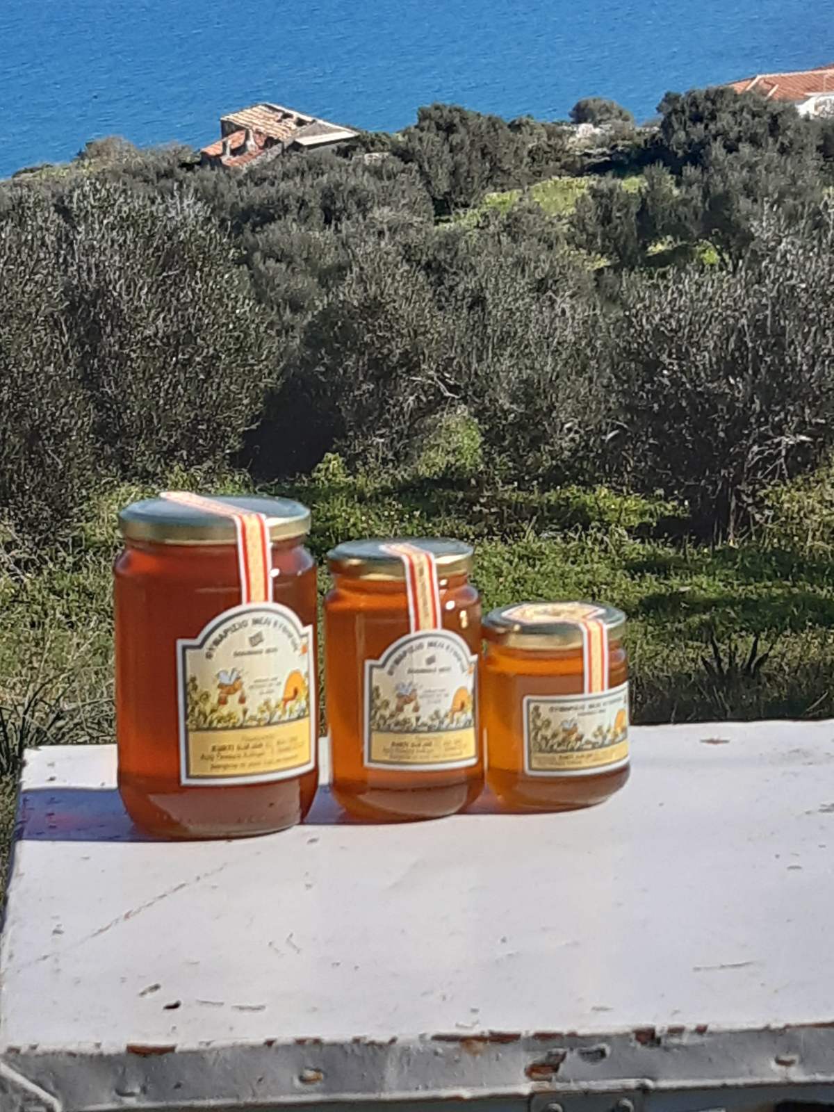 Certified Thyme Honey Kythera 950gr
