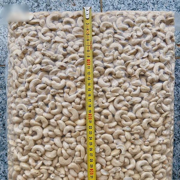 Cashew