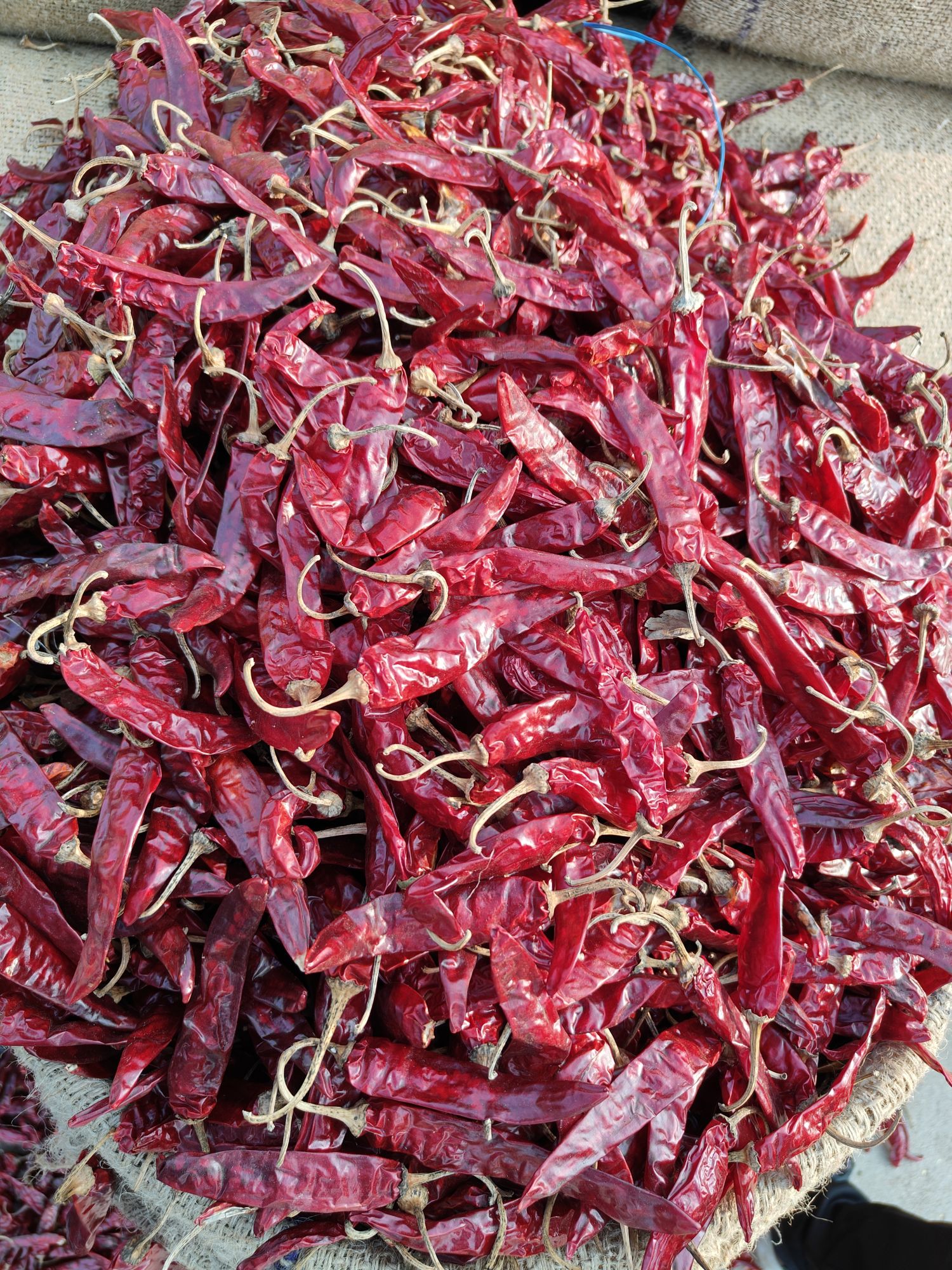Dried Red chili whole