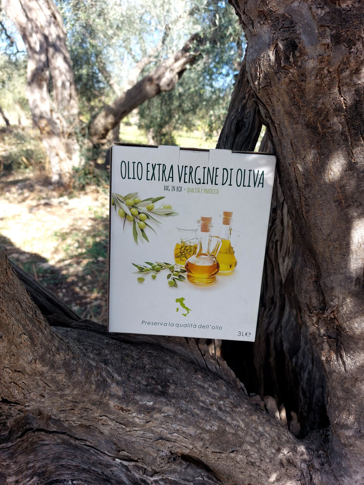 Tenuta la Marchesa oil