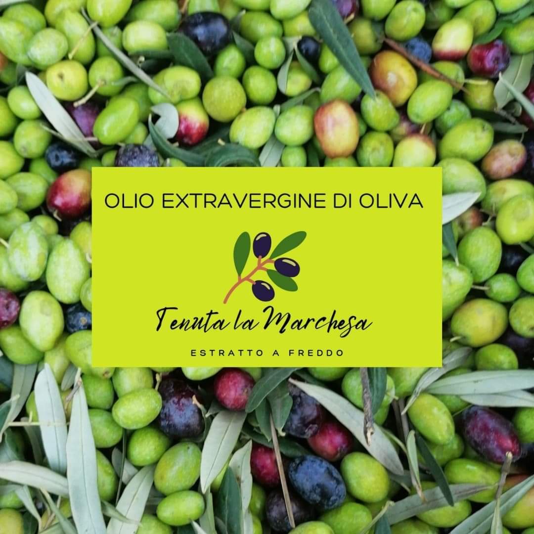 Tenuta la Marchesa oil